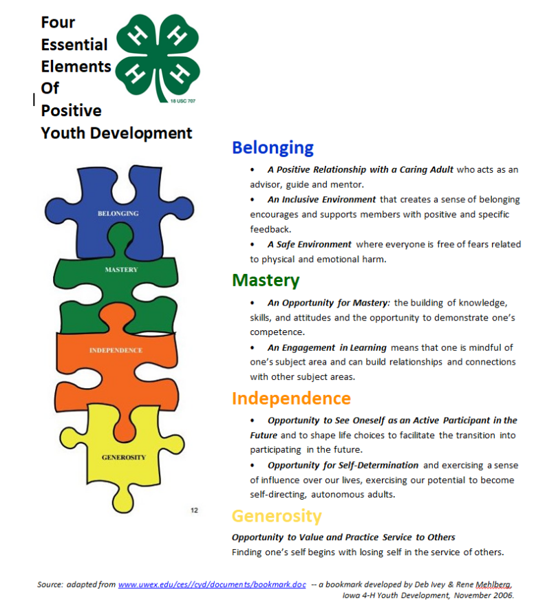 an infographic about the Essential Elements of 4-H