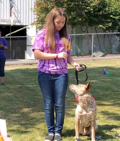 youth showing a dog at the fair