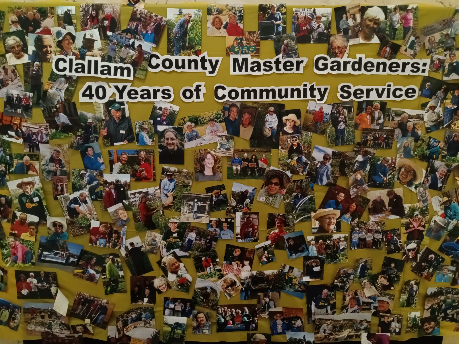 A photo collage showing pictures of volunteers from the history of the program.