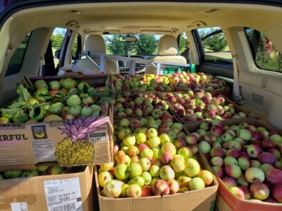 A work van packed full of boxes of apples.