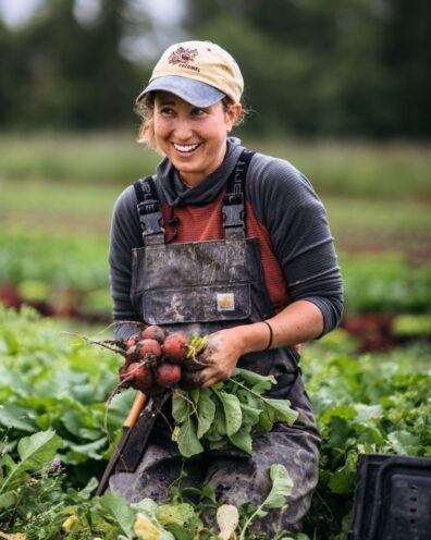 Person harvesting radishes in a farm field.