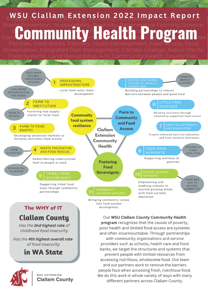 Cover Page of the 2022 Community Health Impact Report.