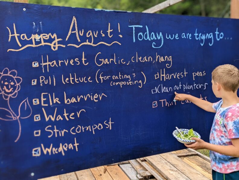 Student points at a blackboard.