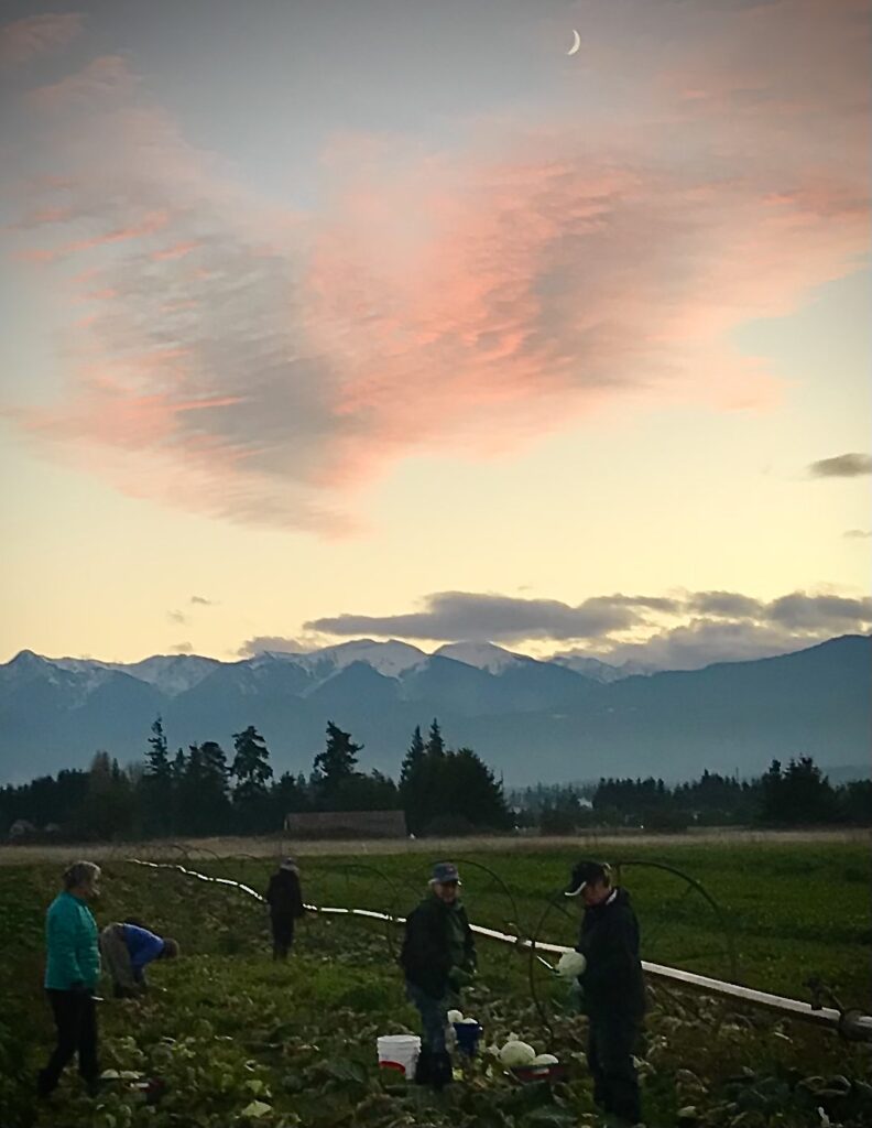 Sunset sky over a farm field.