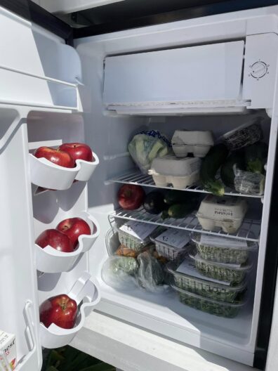 Stocked Little Free Fridge with door open