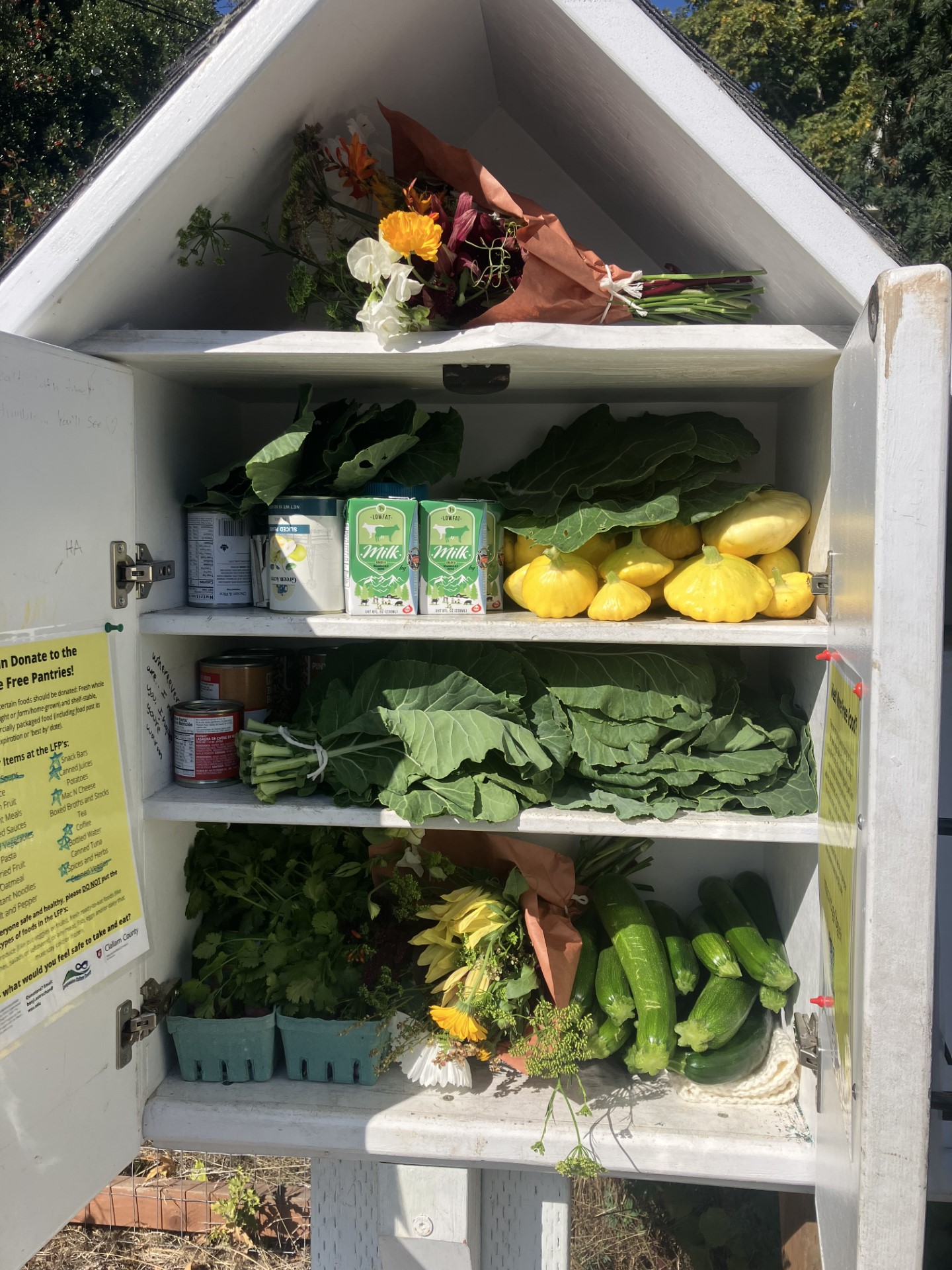 The Cherry Street Little Free Pantry full of organic veggies.