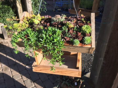 A bird feeder hanging over a patio with succulents planted on the roof.