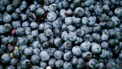 Close-up of freshly picked blueberries.