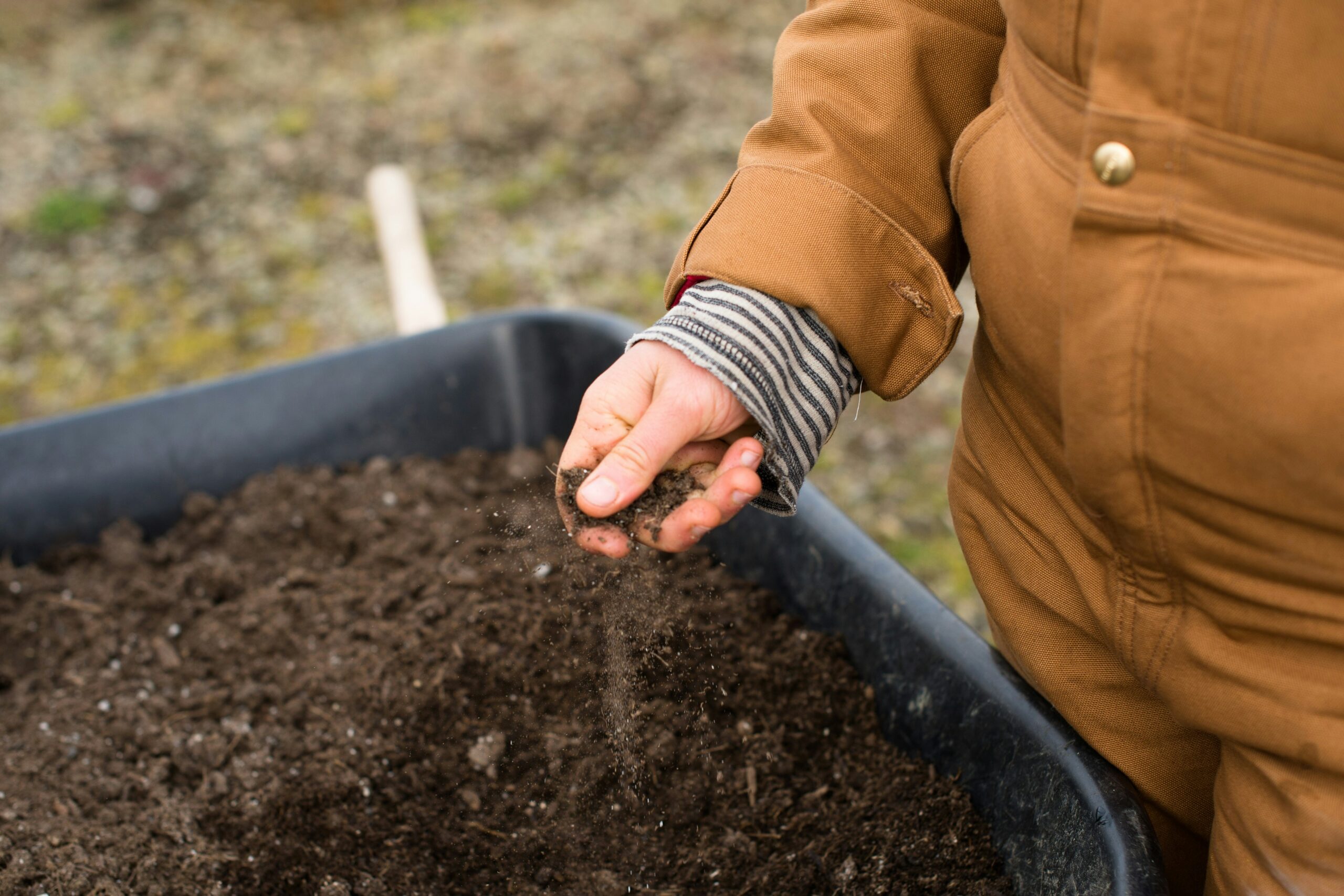 image of farmer holding soil from a wheelbarrow