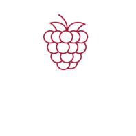 Homegrown Berries Logo.