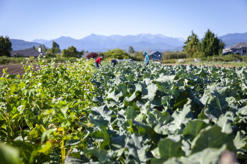 Link to Small Farms classes