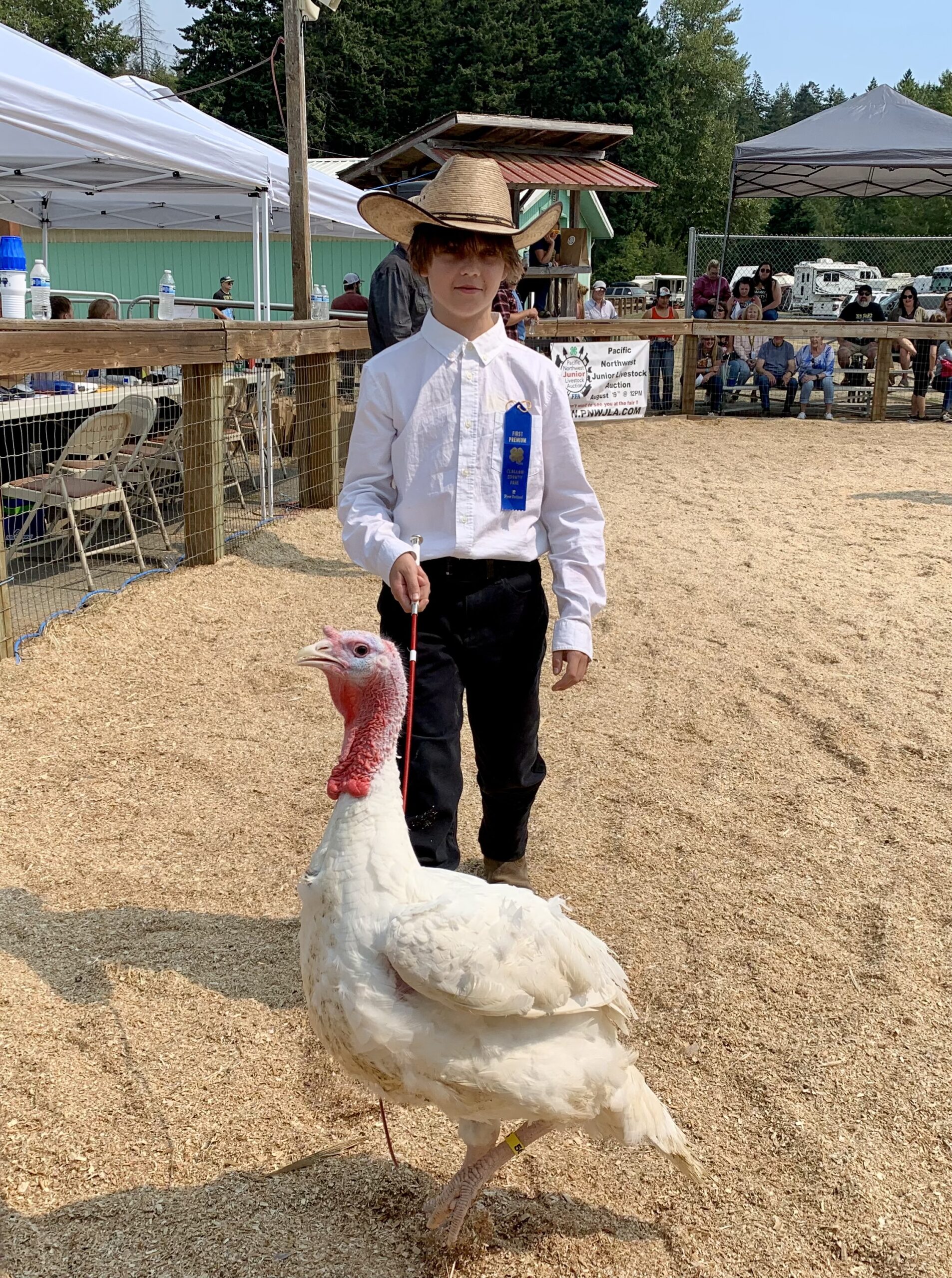 Boy showing a blue ribbon turkey at the fair