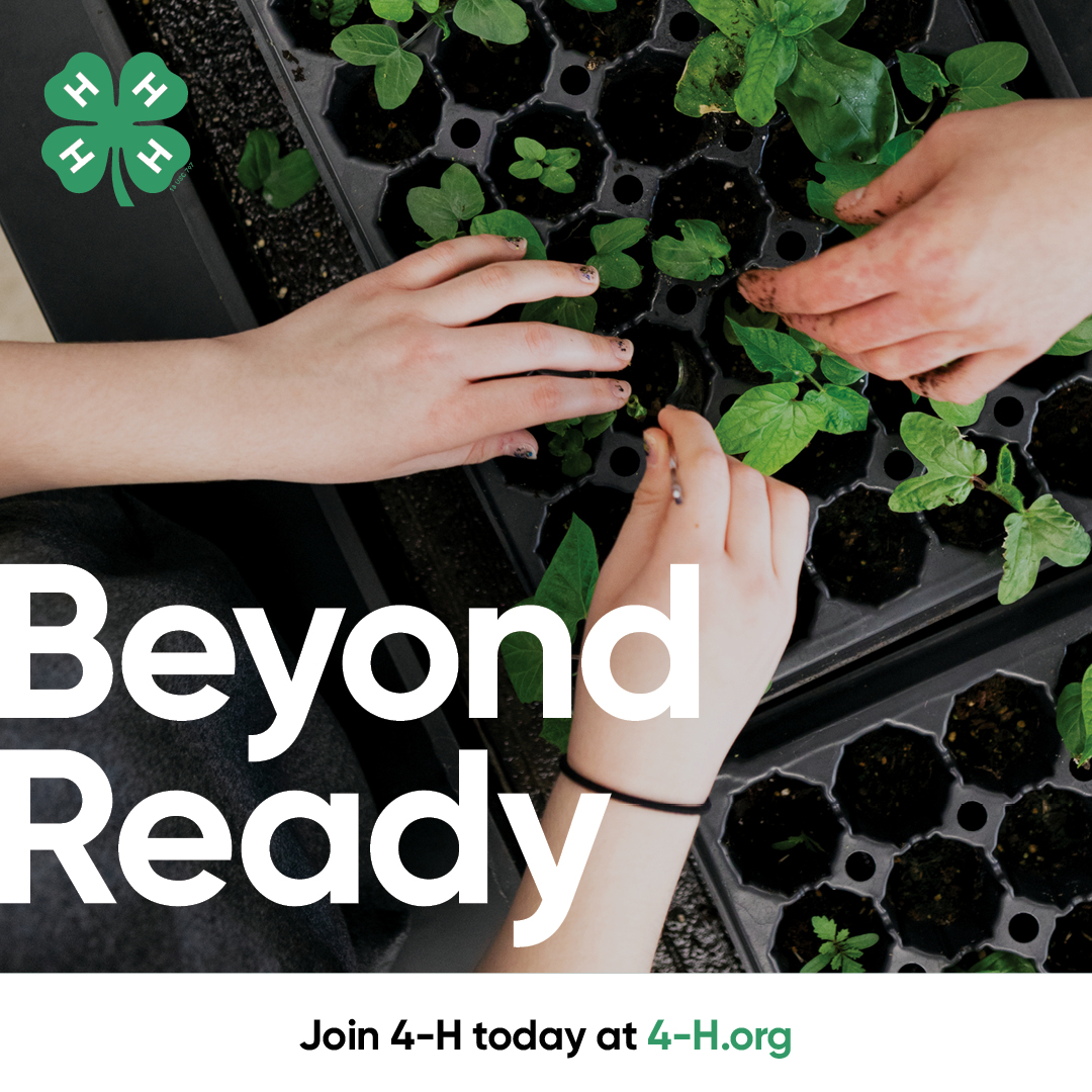 youth hands planting plant starts picture says Beyond Ready and join 4-H today at 4-H.org