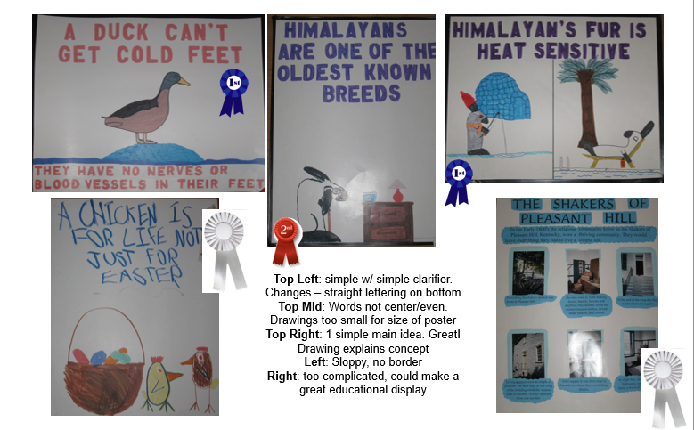 Five sample posters Sample one shows a blue ribbon poster. It is simples with a simple clarifier statement. Poster two is a red ribbon poster where the words are not centered or even Poster three is a blue ribbon poster that shows a simple main idea. Poster four is a white ribbon poster because it is sloppy and doesn't have a border Poster five is a white ribbon poster because it is too complicated. It would make a good educational display.