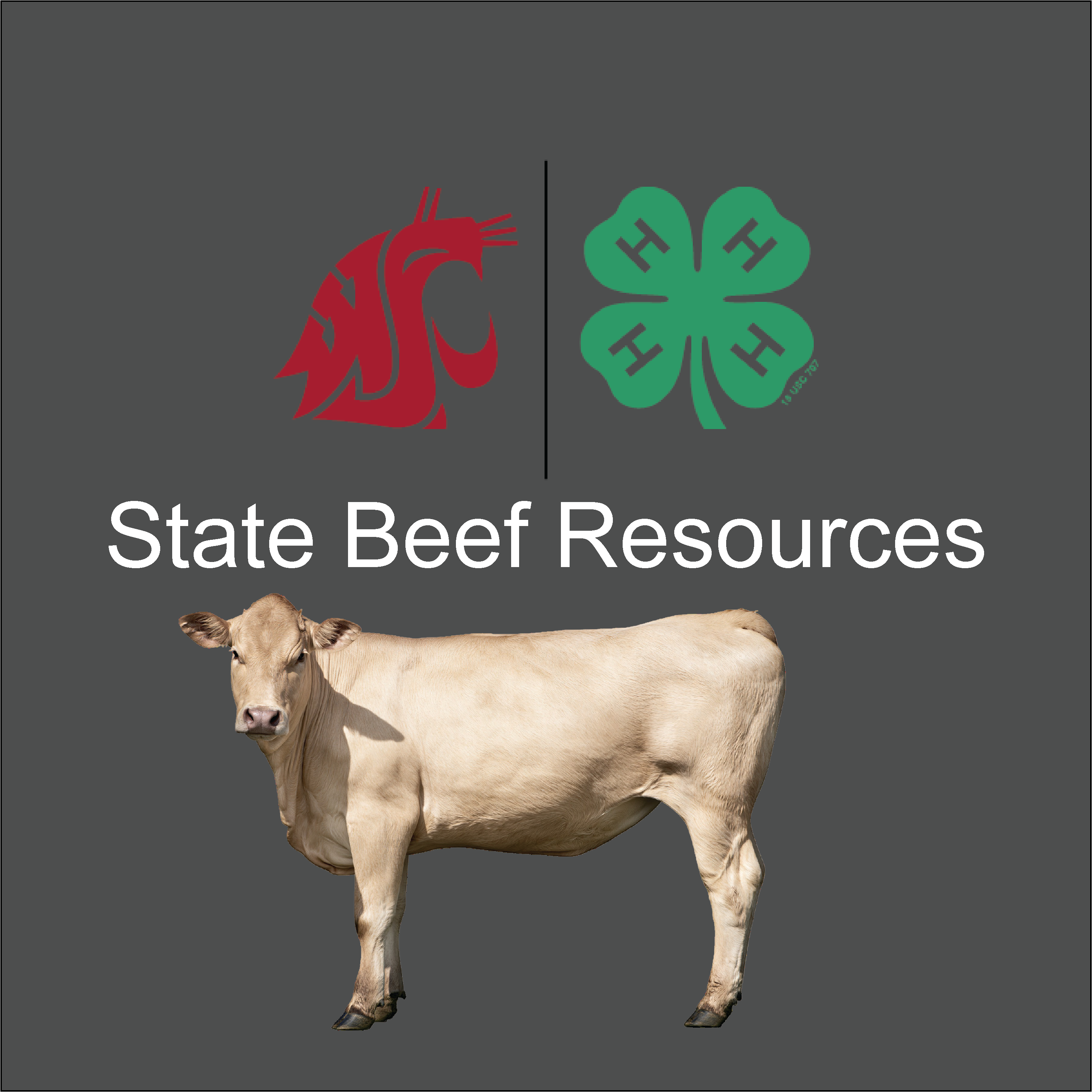 image of WSU and 4-H logos with a picture of an charolais. Says state beef resources