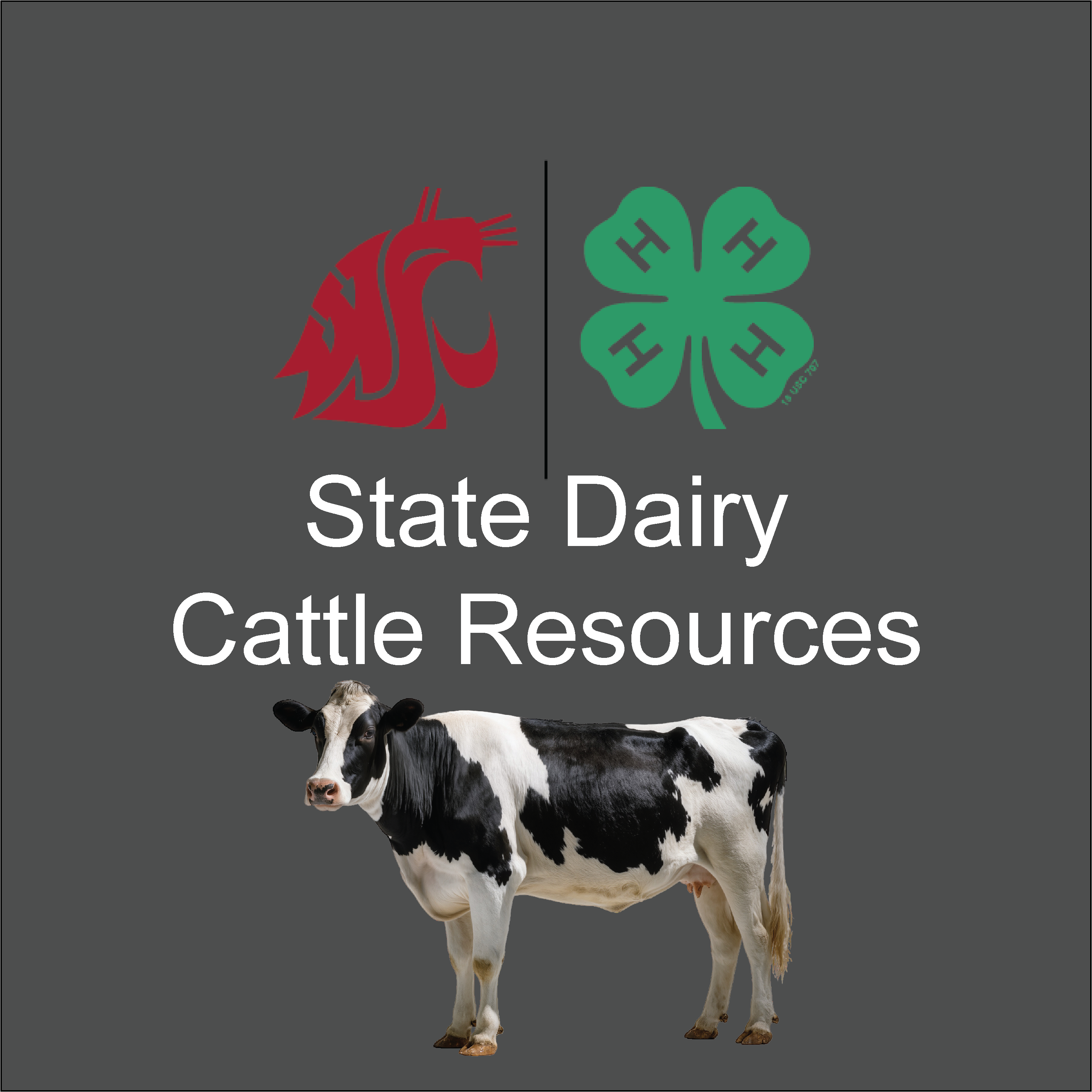 image of WSU and 4-H logos with a picture of a Holstein. Says state dairy cattle resources