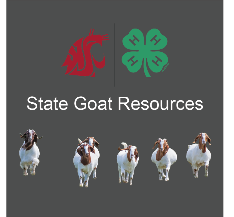 image of WSU and 4-H logos with a picture of a goat. Says state goat resources