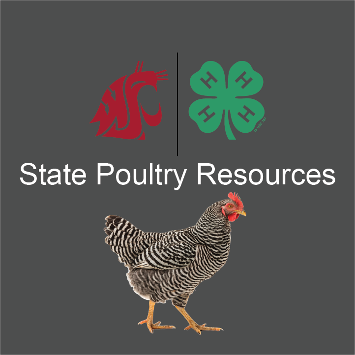 image of WSU and 4-H logos with a picture of a chicken. Says state poultry resources