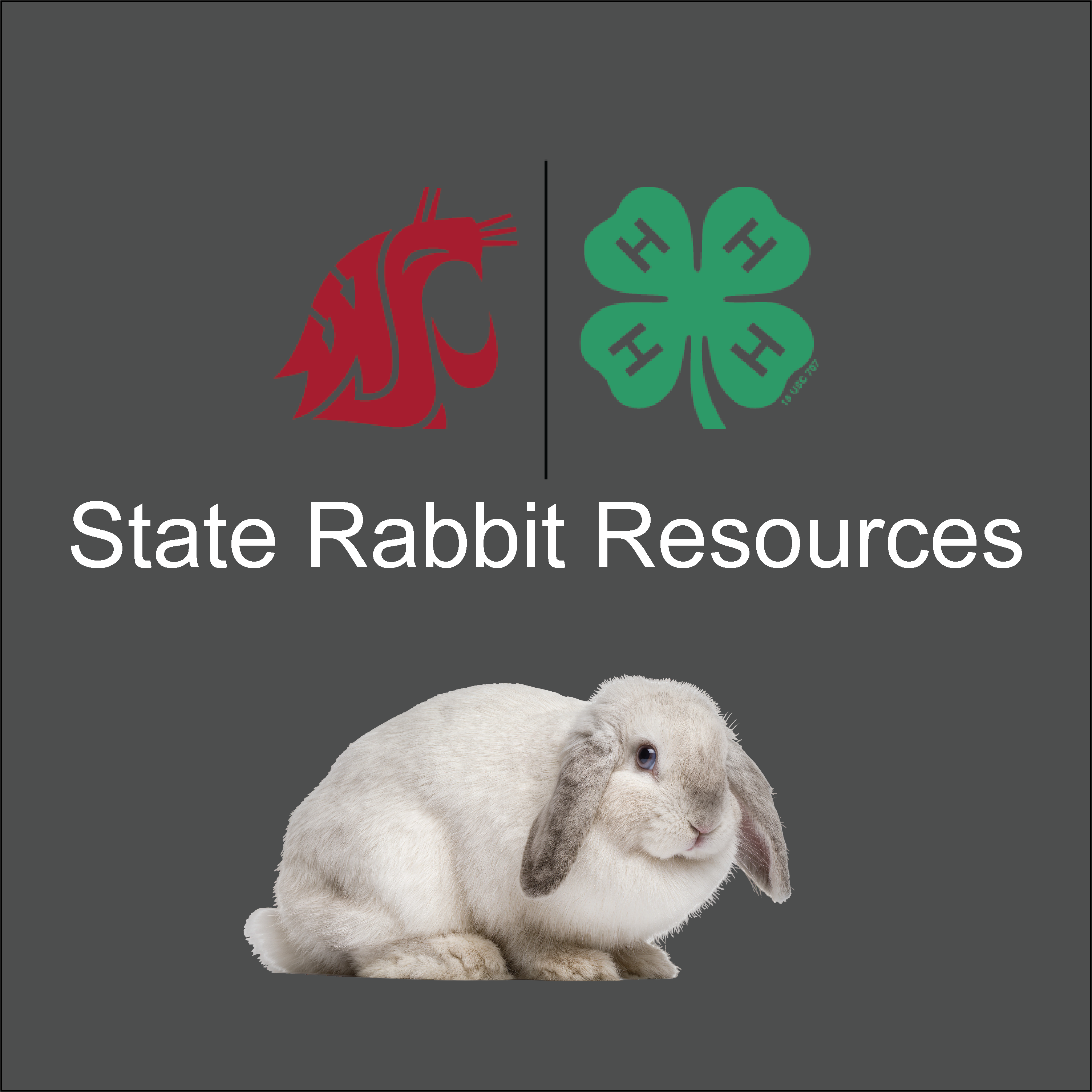 image of WSU and 4-H logos with a picture of a rabbit. Says state rabbit resources
