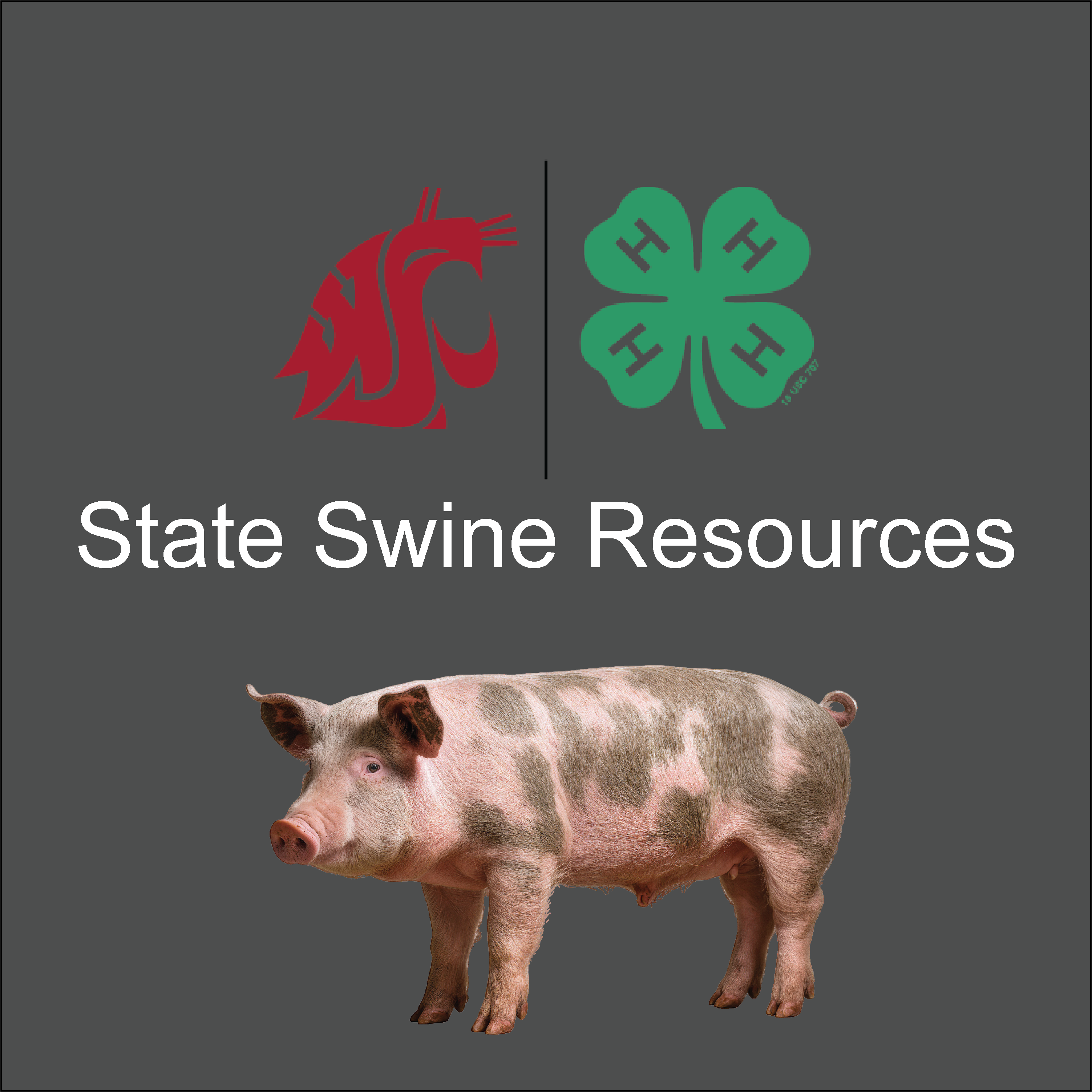 image of WSU and 4-H logos with a picture of a pig. Says state swine resources