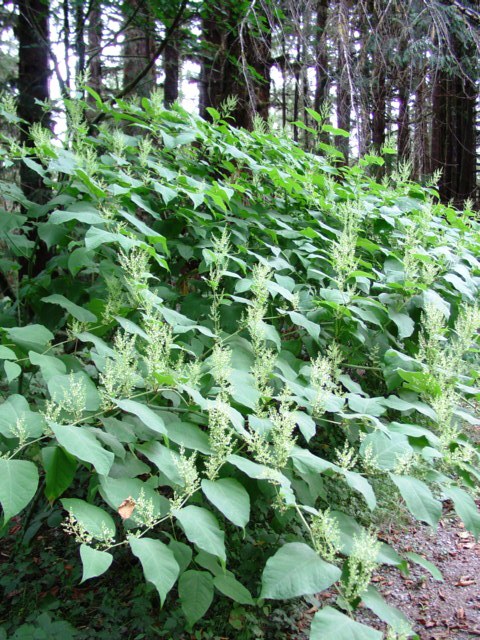 DSC00255