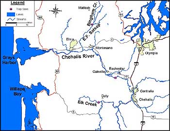 Map showing the Chehalis River watershed, including the Chehalis River, Elk Creek, and nearby towns in southwest Washington