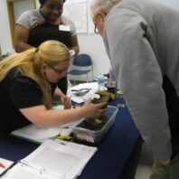 Master Gardener trainees examining bark for identification