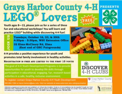 Discover 4-H Flyer - LEGO Fun