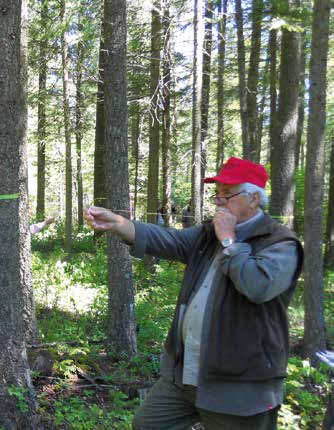 Forest stewardship instructor demonstrating