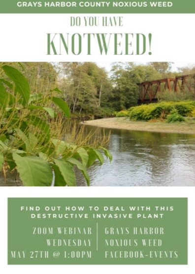 Dealing with Knotweed program announcement - 5/27/2020 - 1:00 PM via Zoom - link on Facebook