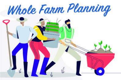 Whole Farm Planning with farmers working