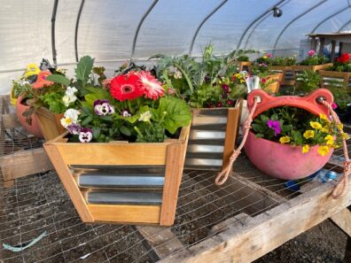 Samples of wooden/metal and pottery planters filled with colorful annuals