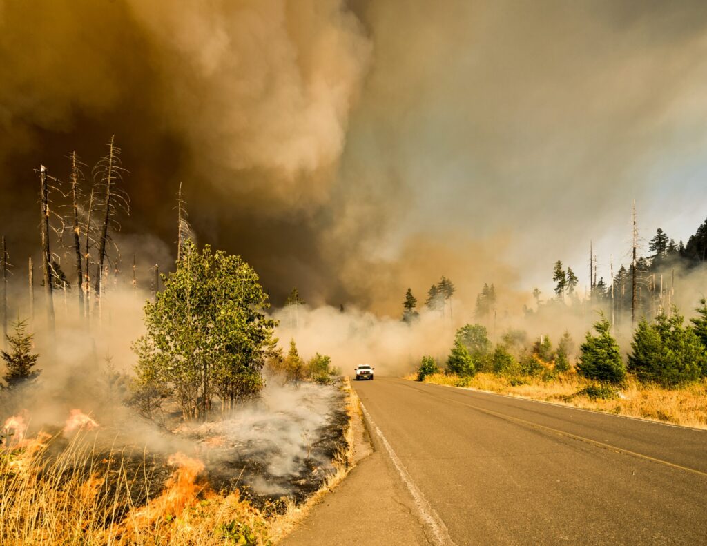 Wildfire that has the smoke filling up the sky.