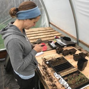 Person in a greenhouse checking their phone while standing next to a table with seed trays and gardening supplies.