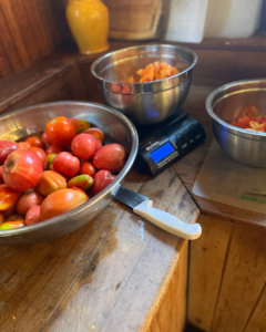 photo of rustic kitchen counter with bowls of tomatoes, in process for food preservation