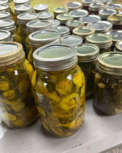 photo showing jars of home canned pickles