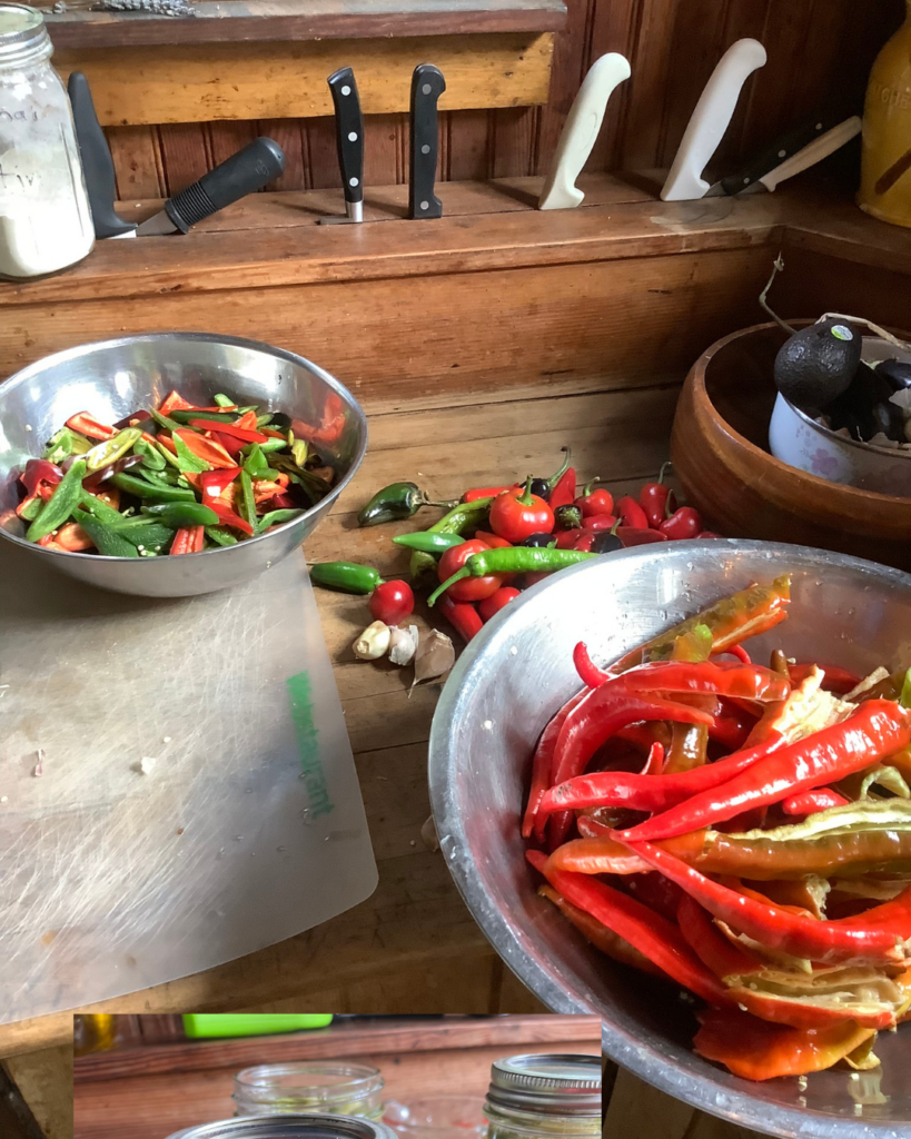 photo showing a rustic kitchen bowls of peppers, preparing for preservation