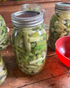 photo of jars of home canned green beans