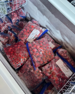 photo of a chest freezer filled with one gallon bags of strawberries