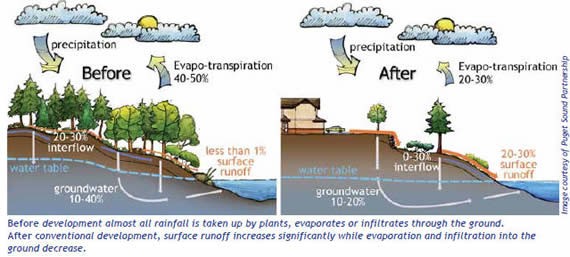 Illustration comparing how rainfall moves through a natural landscape versus a developed landscape with increased stormwater runoff.