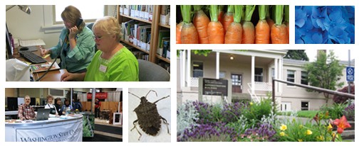 Collage of Master Gardener volunteers assisting clients, answering questions by phone, displaying outreach materials, and close-up images of plants, insects, and garden produce.
