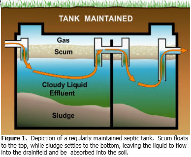 Cross-sectional diagram of a maintained septic tank showing scum, liquid effluent, and sludge layers.