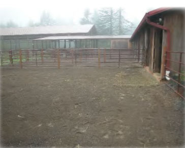 Livestock paddock adjacent to a barn and fenced holding area.
