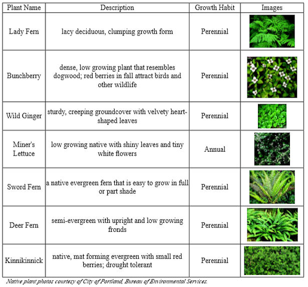Table of native plants with descriptions, growth habits, and images.