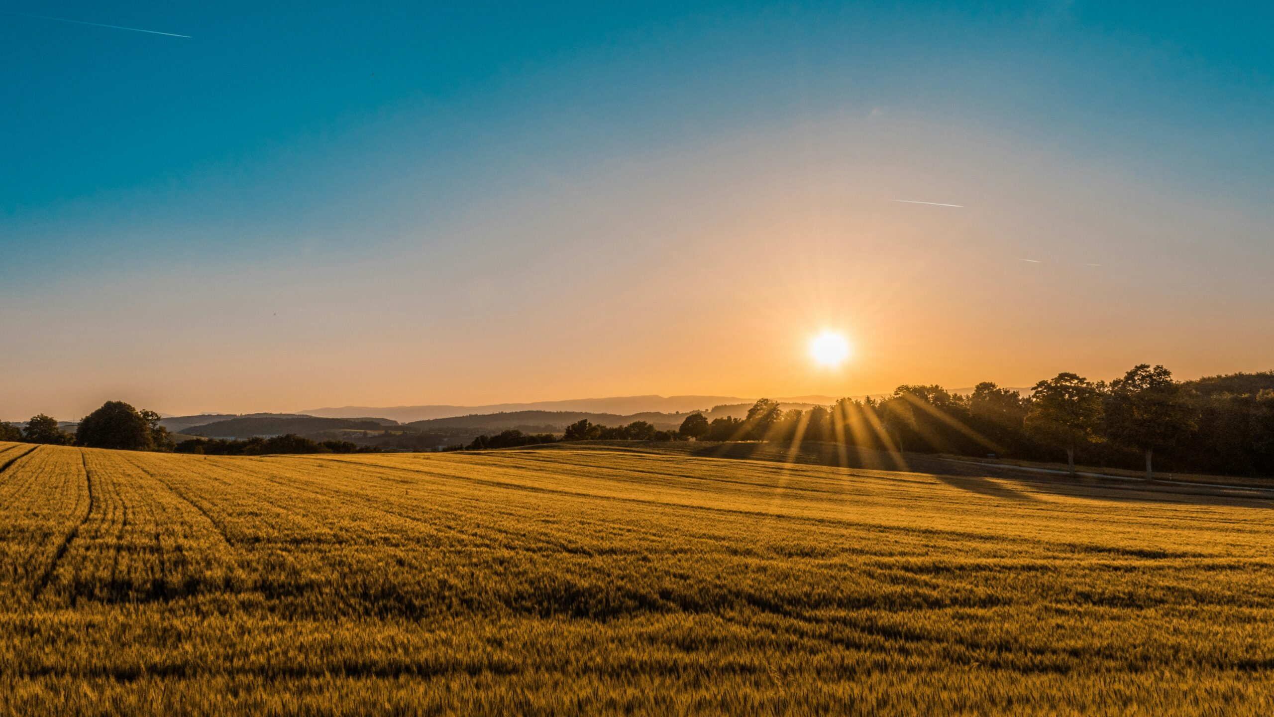 Sunrise over Clark County farmland.