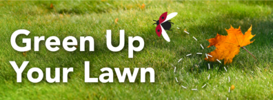 Green lawn with a falling orange leaf and graphic text reading “Green Up Your Lawn.”
