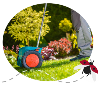 Person using a lawn spreader to apply material on a green lawn with garden plants in the background.