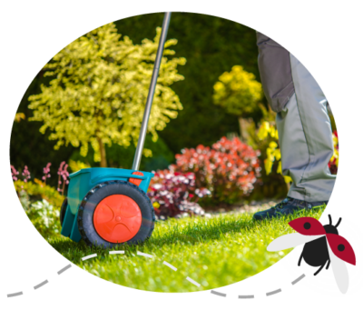 Person using a lawn spreader to apply material on a green lawn with garden plants in the background.