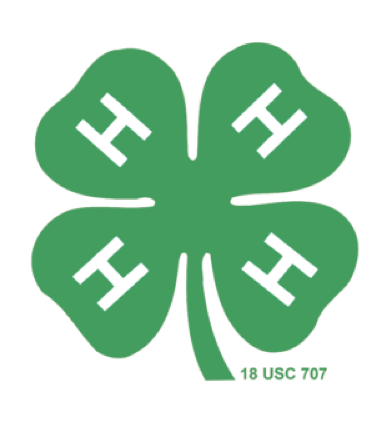 Green four-leaf clover graphic with white H symbols on each leaf