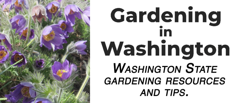 Explore Washington State gardening resources and tips